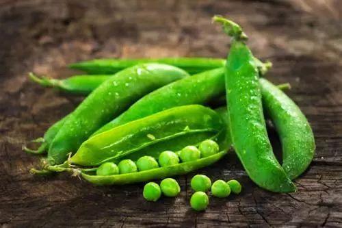 盘点那些吃瓜得瓜种瓜得豆的人,盘点吃瓜得瓜、种瓜得豆的人生智慧