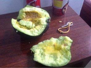 农村小时候吃瓜,农村瓜田里的欢乐时光