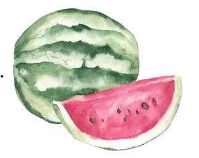 普通的吃瓜者,吃瓜群众眼中的明星生活