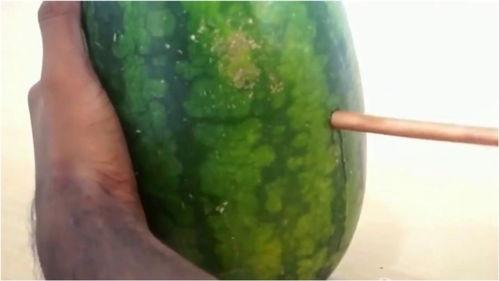 吃瓜技术大全视频,揭秘吃瓜技术大全视频核心技巧