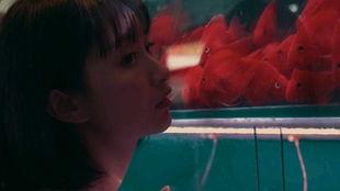 吃瓜少女橱窗,揭秘娱乐圈幕后故事