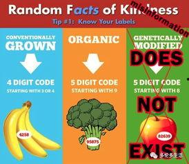 吃瓜gua贴纸,揭秘吃瓜gua贴纸的火爆背后