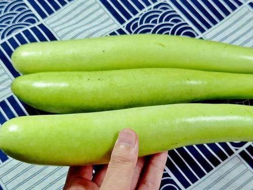 老人说吃瓜会瘦,揭秘吃瓜减肥的神奇魅力