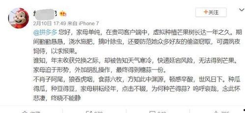 古文吃瓜,探寻古代吃瓜文化的历史韵味