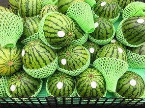 山东旅游吃瓜,舌尖上的瓜果盛宴