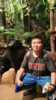 李弘吃瓜群众,吃瓜群众的视角,揭秘娱乐圈风云