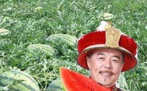 吃瓜路上的人,一场关于成长与感悟的旅程