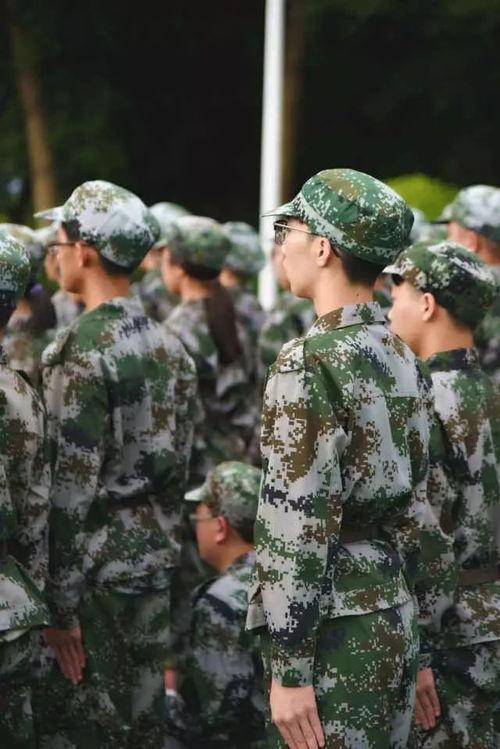 每日智慧吃瓜军训,军训生活趣味横生