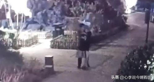 吃瓜人完整视频