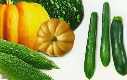 缅北老瓜新吃,传统美食的时尚演绎