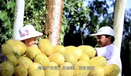 缅北老瓜新吃,传统美食的时尚演绎