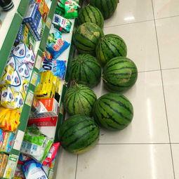 好友比赛吃瓜,好友们的疯狂吃瓜大赛