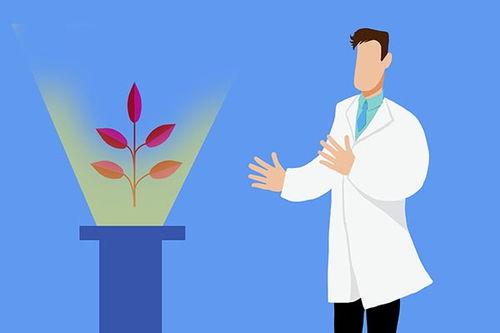 谚语说春吃芽 夏吃瓜,四季养生之道