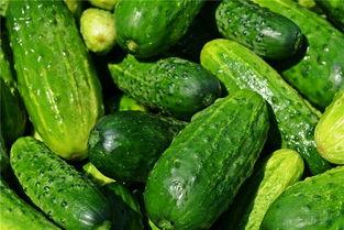 梦见吃黄钻瓜,黄钻瓜的奇幻之旅