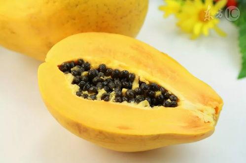 怀孕初期可以吃蒲瓜?,蒲瓜——天然滋补佳品